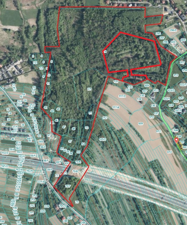 Mapa terenu (zdjęcie satelitarne)